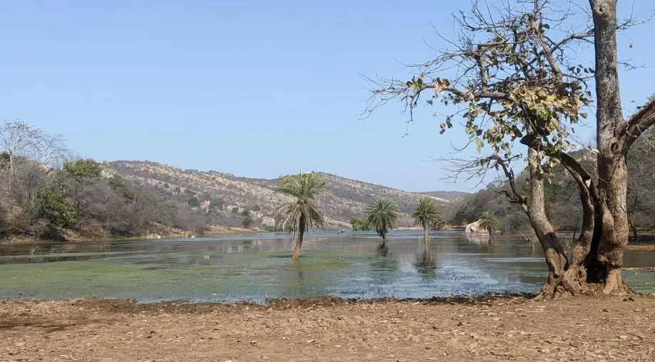 Ranthambore Tiger Safari Tour