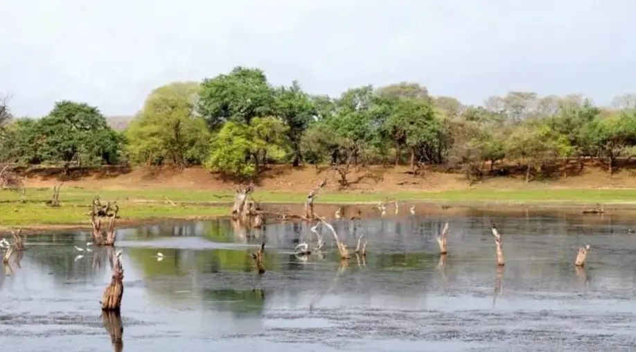 Ranthambore Honeymoon Packages