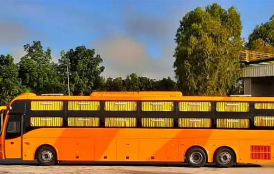 Luxury Bus Rental