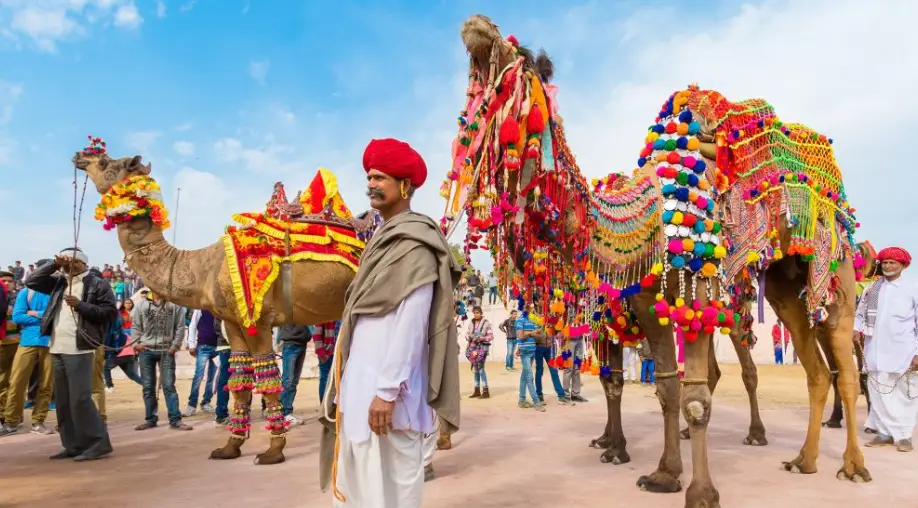 Pushkar Fair Tour Package