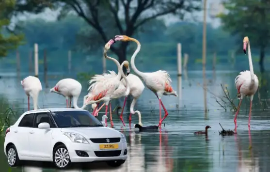 Jaipur to Bharatpur Taxi