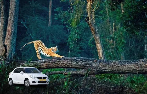 Jaipur to Jim Corbett Taxi