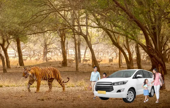Jaipur to Ranthambore Taxi