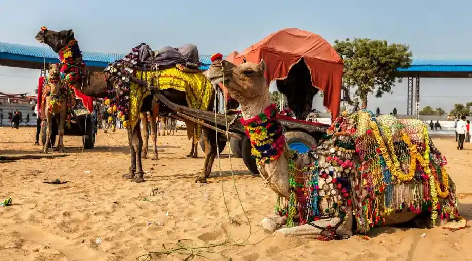 Golden Triangle Tour with Pushkar Fair