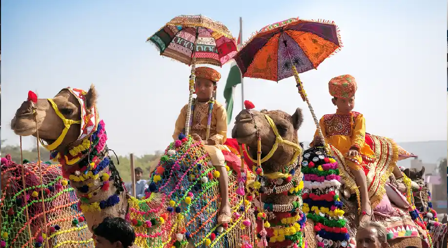 Camel Safari in Pushkar