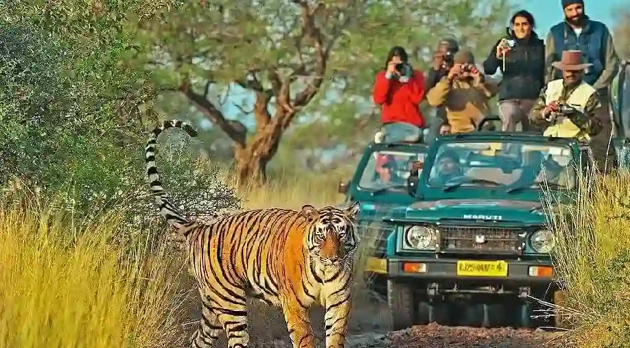 Rajasthan Leopard Safari Tour