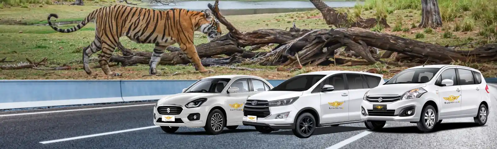 Car Rental