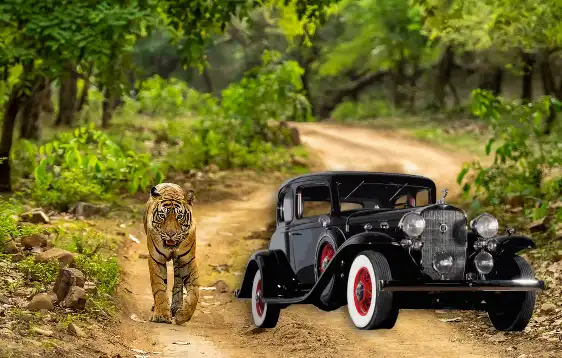 Vintage Car Rental in Ranthambore