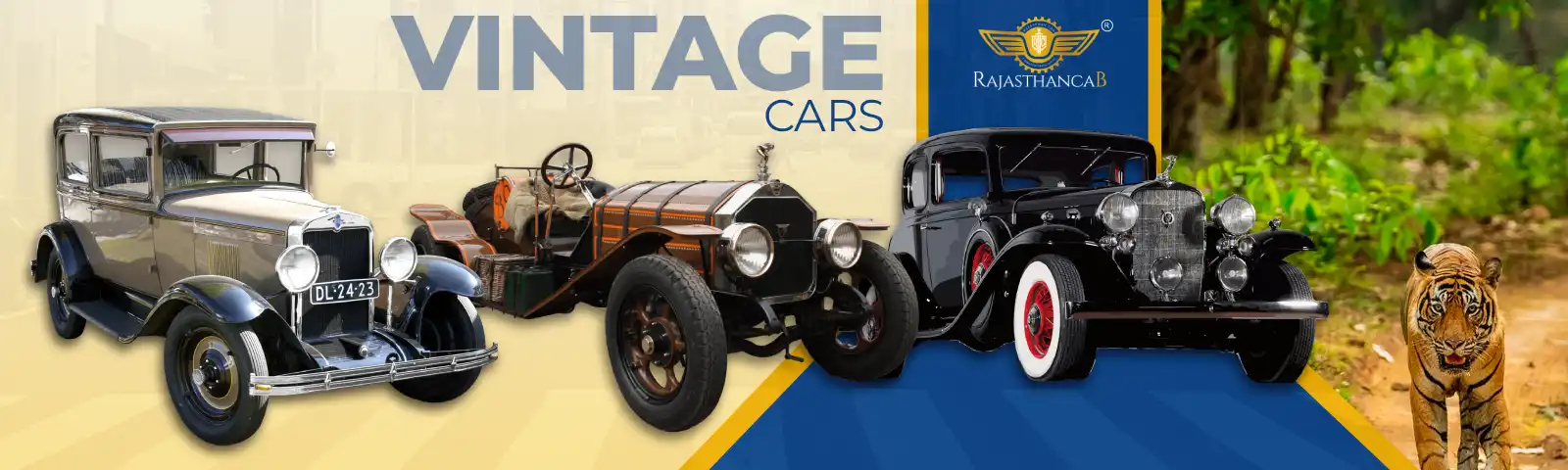 Car Rental