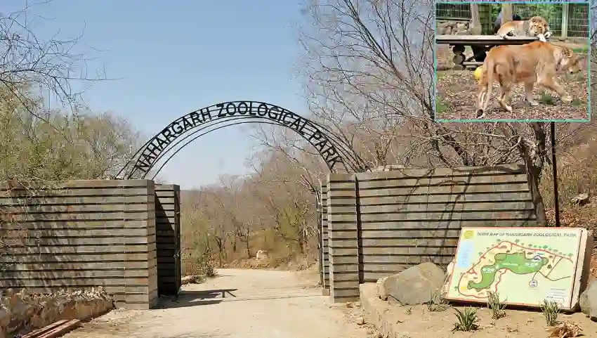 Jaipur Zoo