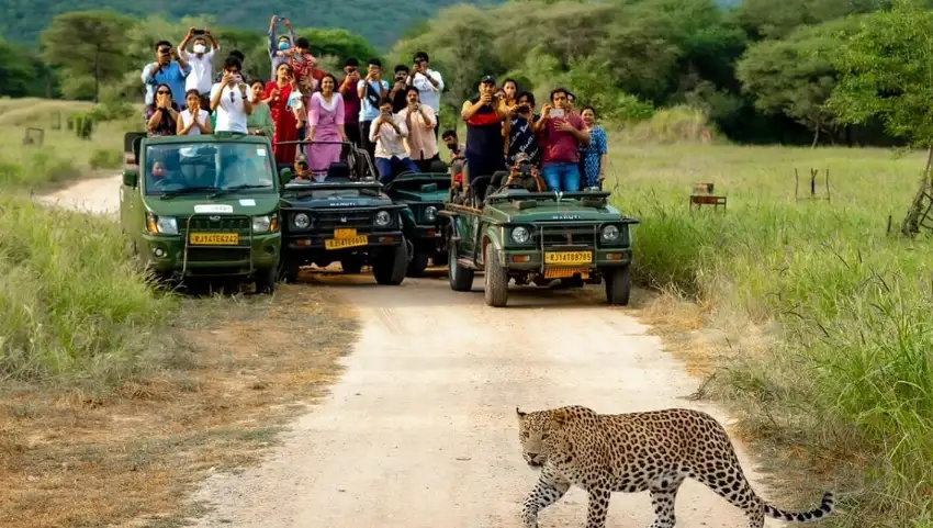 Wildlife Sanctuaries in Jaipur