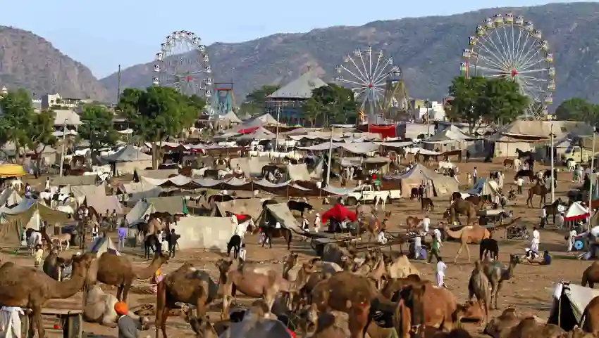Pushkar Camel Fair