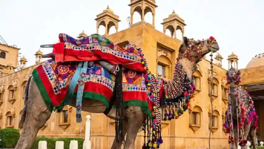 Rajasthan Road Trip