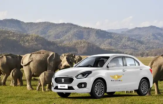 Delhi to Jim Corbett Taxi