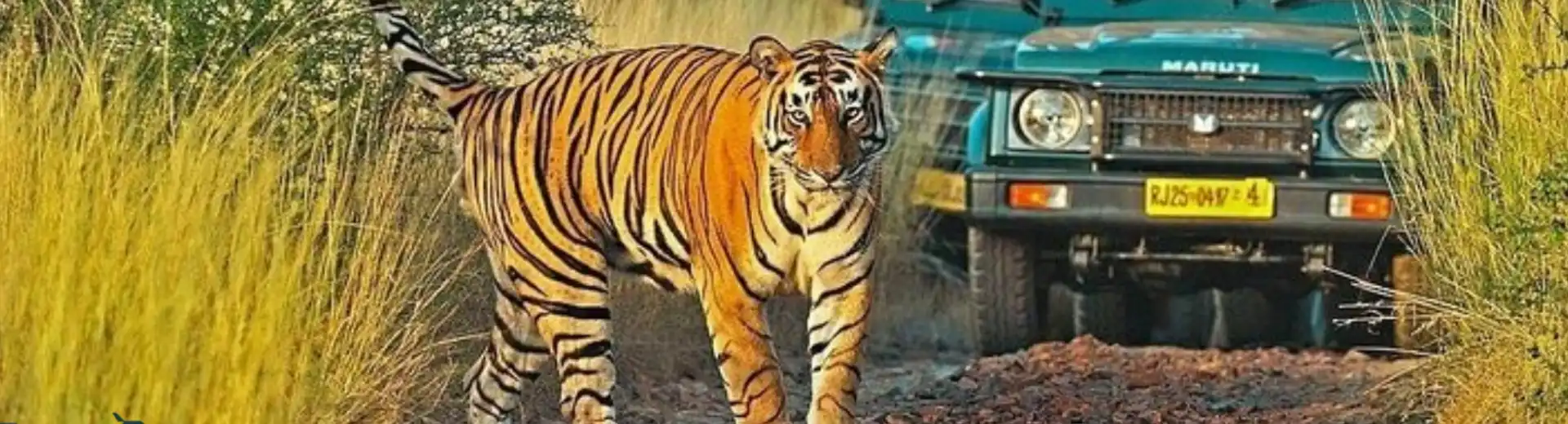 Rajasthan Wildlife Tour