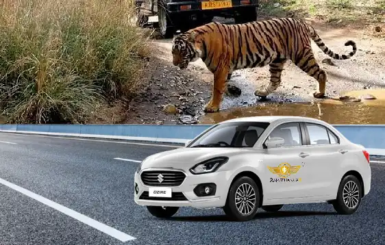 Taxi Service in Sawai Madhopur