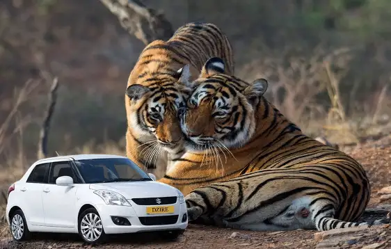 Taxi Service in Ranthambore