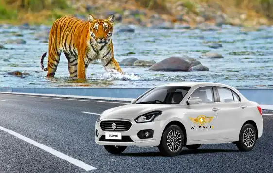 Taxi Service in Jim Corbett National Park